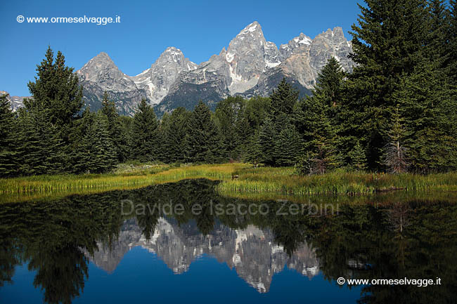 012 Schwabacher landing IMG 0089